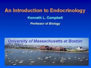 An Introduction to Endocrinology Kenneth L Campbell Professor