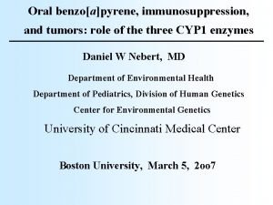 Oral benzoapyrene immunosuppression and tumors role of the