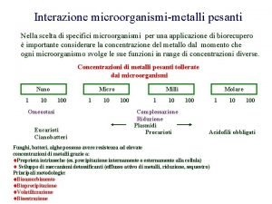 Interazione microorganismimetalli pesanti Nella scelta di specifici microorganismi