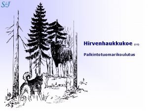 Koiratietokanta.fi hirvikoe tulokset