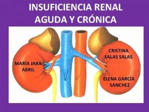 INSUFICIENCIA RENAL AGUDA Y CRNICA CRISTINA SALAS MARA