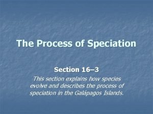 Section 16-3 the process of speciation