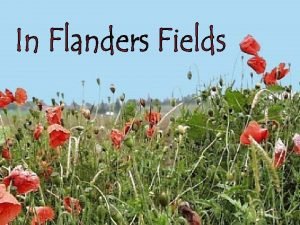 In Flanders Fields the poppies grow between the