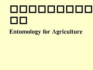 Entomology for Agriculture External Anatomy http bugs bio