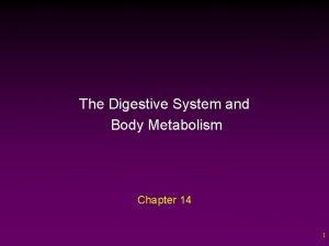 Chapter 14 the digestive system and body metabolism