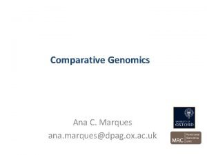 Comparative Genomics Ana C Marques ana marquesdpag ox