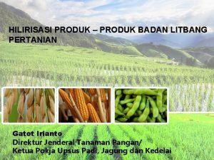 HILIRISASI PRODUK PRODUK BADAN LITBANG PERTANIAN Gatot Irianto