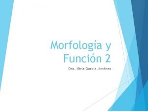 Morfologa y Funcin 2 Dra Niria Garca Jimnez