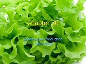 Chapter 20 Greenhouse Production Techniques n The production