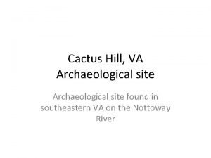 Cactus hill archaeological site