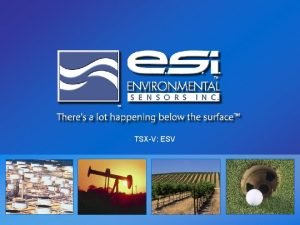 TSXV ESV FORWARD LOOKING STATEMENTS This presentation may