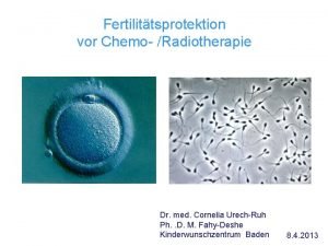 Fertilittsprotektion vor Chemo Radiotherapie Dr med Cornelia UrechRuh