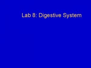 Lab 8 Digestive System Announcements l Exams l