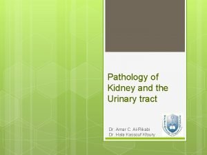 Pathology of Kidney and the Urinary tract Dr