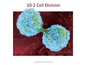 10 2 Cell Division Copyright Pearson Prentice Hall