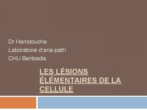 Dr Hamdouche Laboratoire danapath CHU Benbadis LES LSIONS