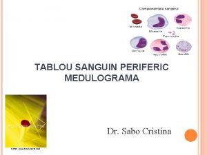 TABLOU SANGUIN PERIFERIC MEDULOGRAMA Dr Sabo Cristina SANGELE