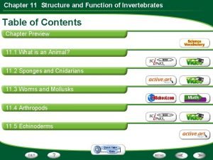 Structure and function of invertebrates