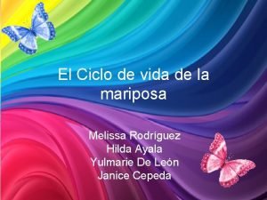 Melissa mariposa