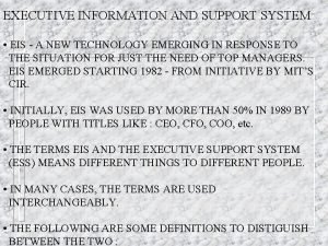Executive information system (eis)