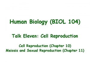 Human Biology BIOL 104 Talk Eleven Cell Reproduction