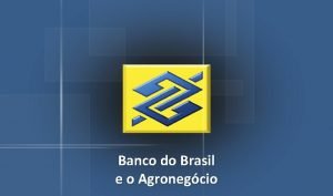 Banco do Brasil e o Agronegcio Carteira de