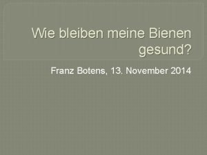 Wie bleiben meine Bienen gesund Franz Botens 13