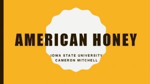AMERICAN HONEY IOWA STATE UNIVERSITY CAMERON MITCHELL STUDENT