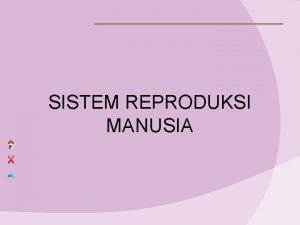 SISTEM REPRODUKSI MANUSIA INDIKATOR 1 Mendeskripsikan organ reproduksi