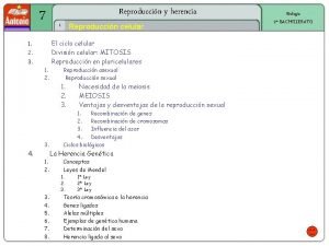 Division meiotica 2