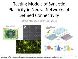 Testing Models of Synaptic Plasticity in Neural Networks