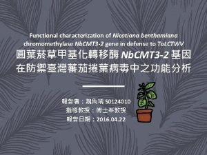 Functional characterization of Nicotiana benthamiana chromomethylase Nb CMT