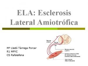 ELA Esclerosis Lateral Amiotrfica M Lled Trrega Porcar
