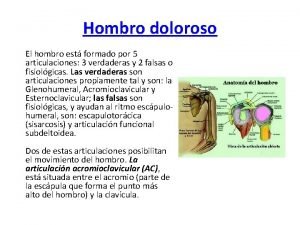 Hombro doloroso El hombro est formado por 5