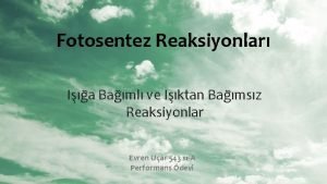 Fotosentez Reaksiyonlar Ia Baml ve Iktan Bamsz Reaksiyonlar