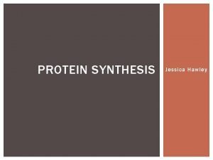 PROTEIN SYNTHESIS Jessica Hawley PROTEIN SYNTHESIS Protein Synthesis