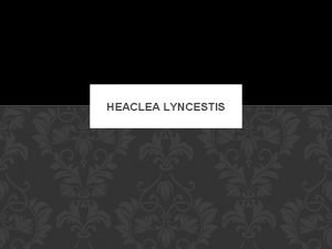 HEACLEA LYNCESTIS HERACLEA LYNCESTIS Heraclea Lyncestis was an