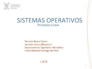 SISTEMAS OPERATIVOS Procesos Linux Marcela Rivera Castro marcela