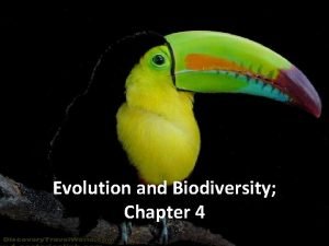 Chapter 4 biodiversity and evolution Chapter 4 biodiversity and evolution
