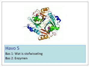 Havo 5 Bas 1 Wat is stofwisseling Bas