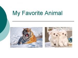 My favorite animal writing