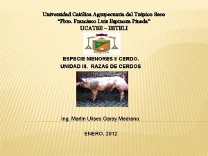 Universidad Catlica Agropecuaria del Trpico Seco Pbro Francisco
