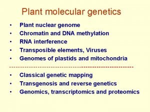 Plant molecular genetics Plant nuclear genome Chromatin and