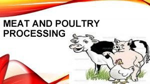 Methods of processing meat and poultry
