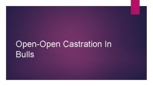 OpenOpen Castration In Bulls Surgical castration is the