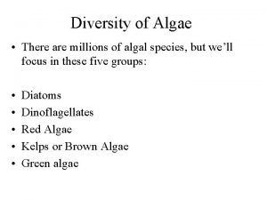 Algae diversity