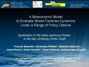 A Bioeconomic Model to Evaluate Mixed Fisheries Dynamics