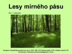 Lesy mrnho psu Obr 1 Listnat les Dostupn