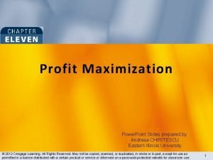 Profit Maximization Power Point Slides prepared by Andreea