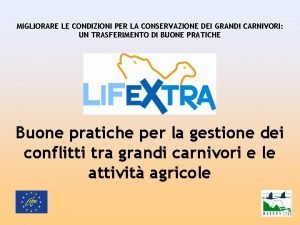 MIGLIORARE LE CONDIZIONI PER LA CONSERVAZIONE DEI GRANDI